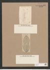 Navicula crabro (Ehr.) Kuetz. (de-Toni-Nr.: Genus 1, Species 197) Zeichnungen Sammlung Grunow Nr. 497 (NHMW-BOT-W0366840)